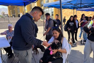 WhatsApp Image 2025-11-19 at 11.22.05 (1).jpeg